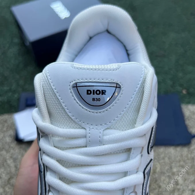 Dior B30 Grey White