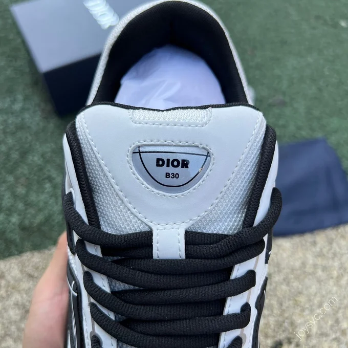 Dior B30 Black White