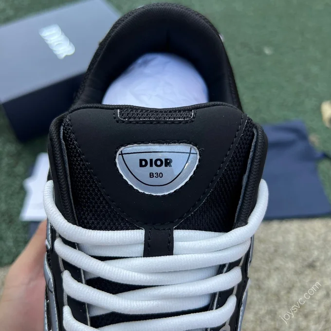 Dior B30 Grey Black White