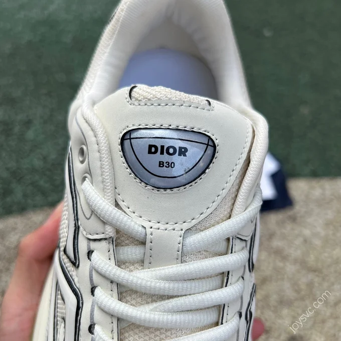 Dior B30 Green Beige White