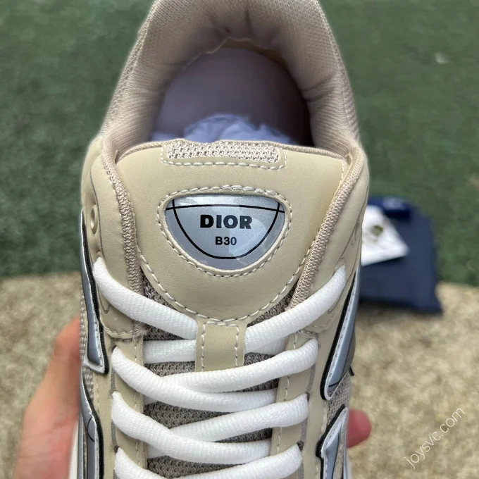 Dior B30 Grey Beige