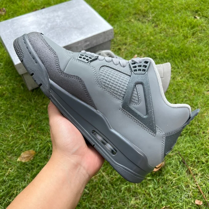 Air Jordan 4 SE 