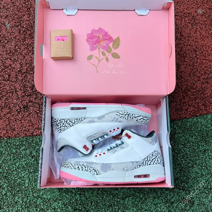 Air Jordan 3 