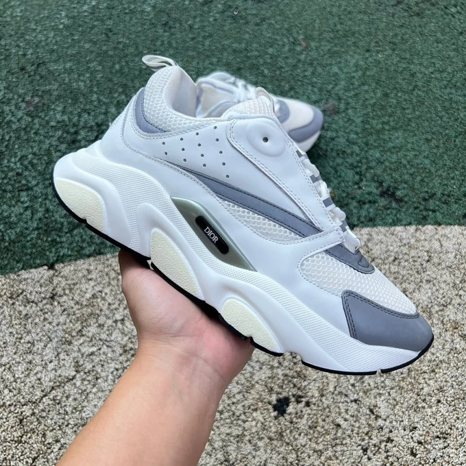 Dior B22 Grey White