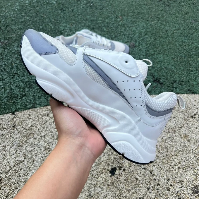 Dior B22 Grey White