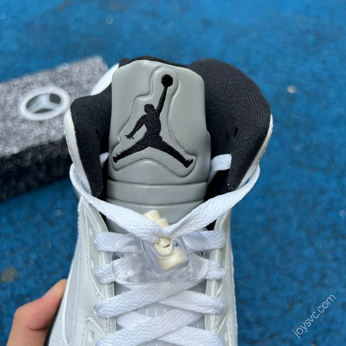 Air Jordan 5 