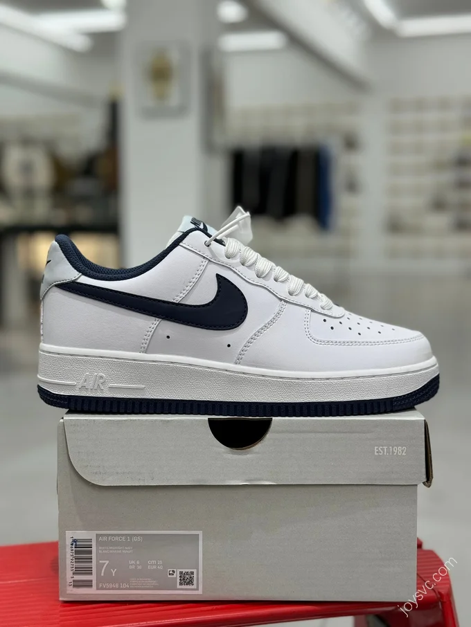 Nike Air Force 1 Blue White FV5948-104