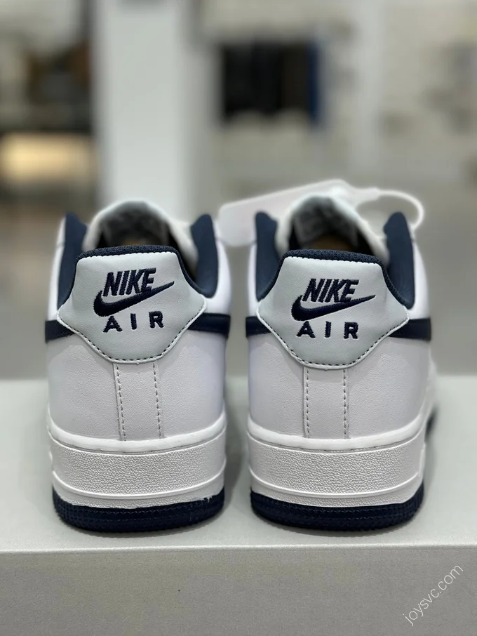 Nike Air Force 1 Blue White FV5948-104