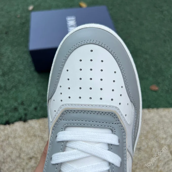 DIOR B27 Low White Grey