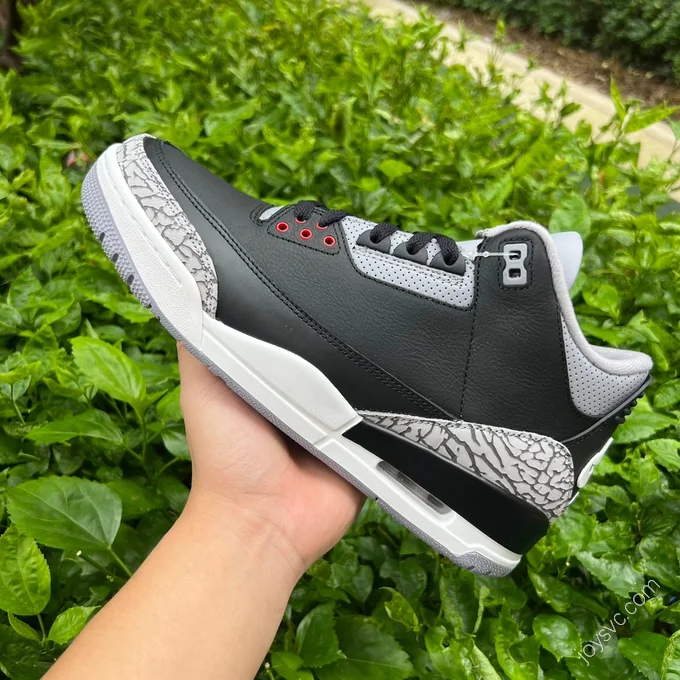 Air Jordan 3 