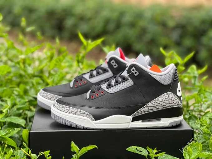 Air Jordan 3 