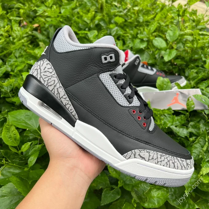 Air Jordan 3 