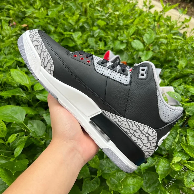 Air Jordan 3 