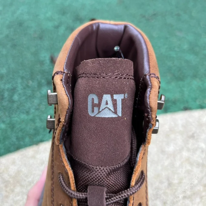 CAT Modulate WP Brown