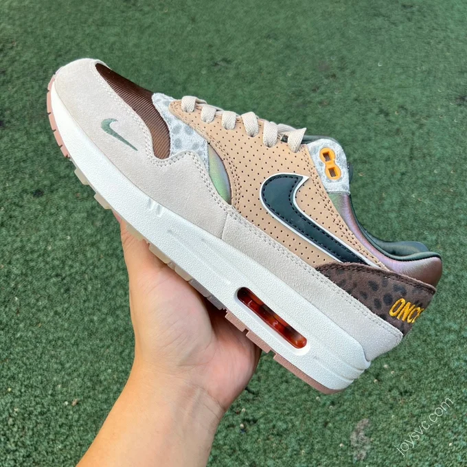 Division St. x Nike Air Max 1 