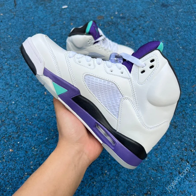 Air Jordan 5 