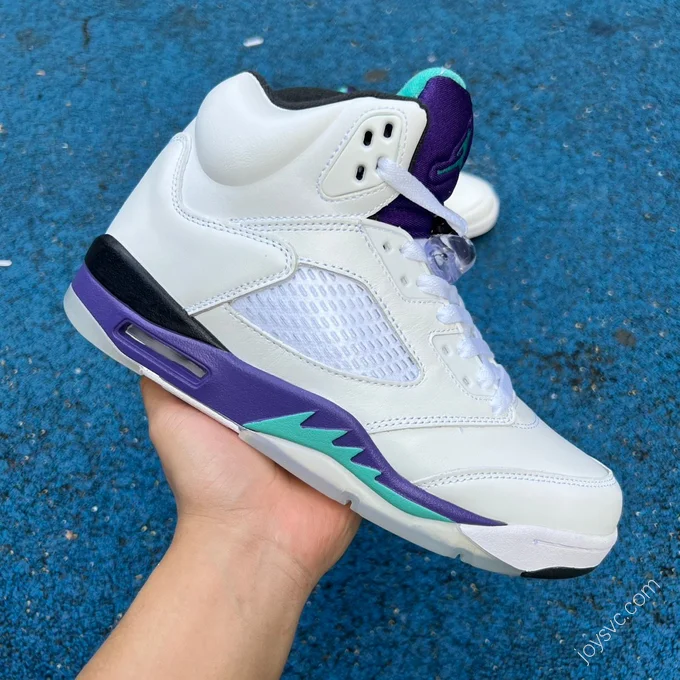 Air Jordan 5 