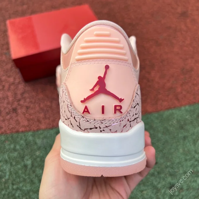 Air Jordan 3 WMNS 