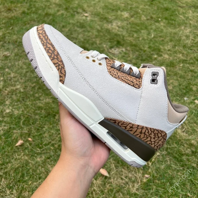 Air Jordan 3 