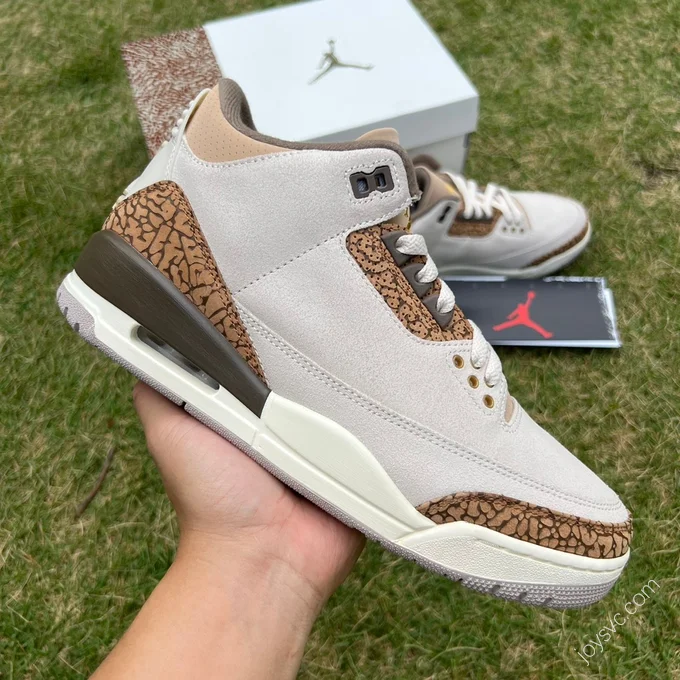 Air Jordan 3 