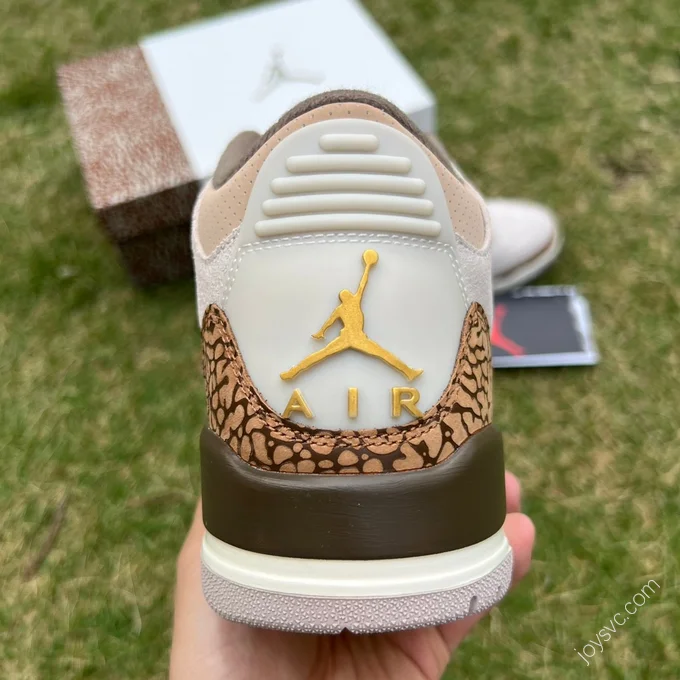 Air Jordan 3 