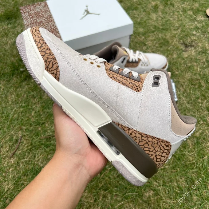 Air Jordan 3 