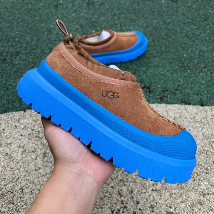 UGG Blue Brown Low-Top