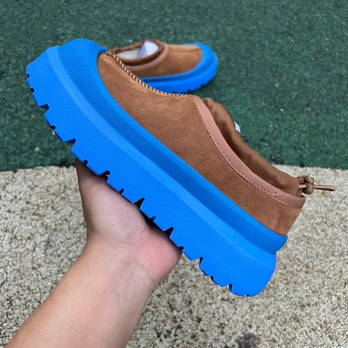 UGG Blue Brown Low-Top