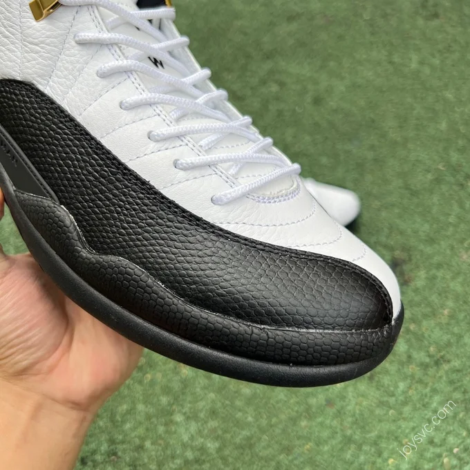 Air Jordan 12 