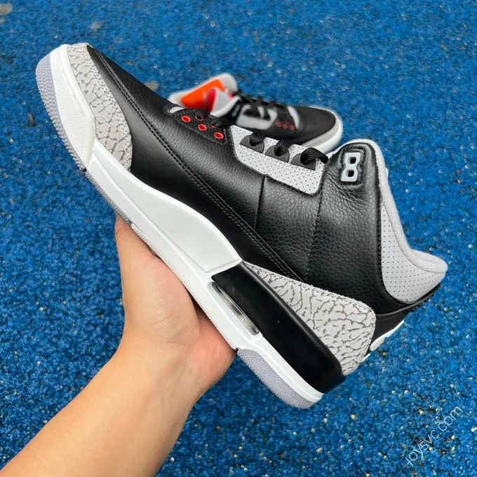 Air Jordan 3 