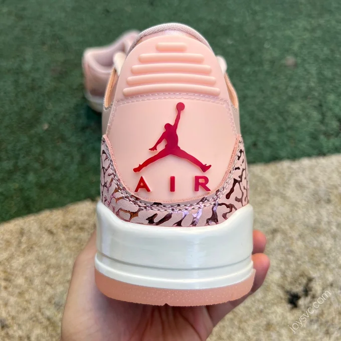 Air Jordan 3 WMNS 