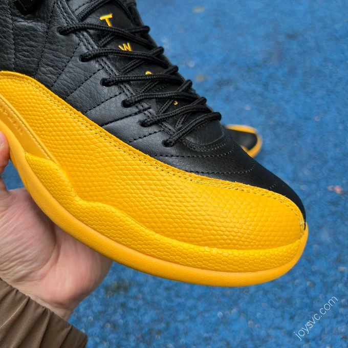 Air Jordan 12 