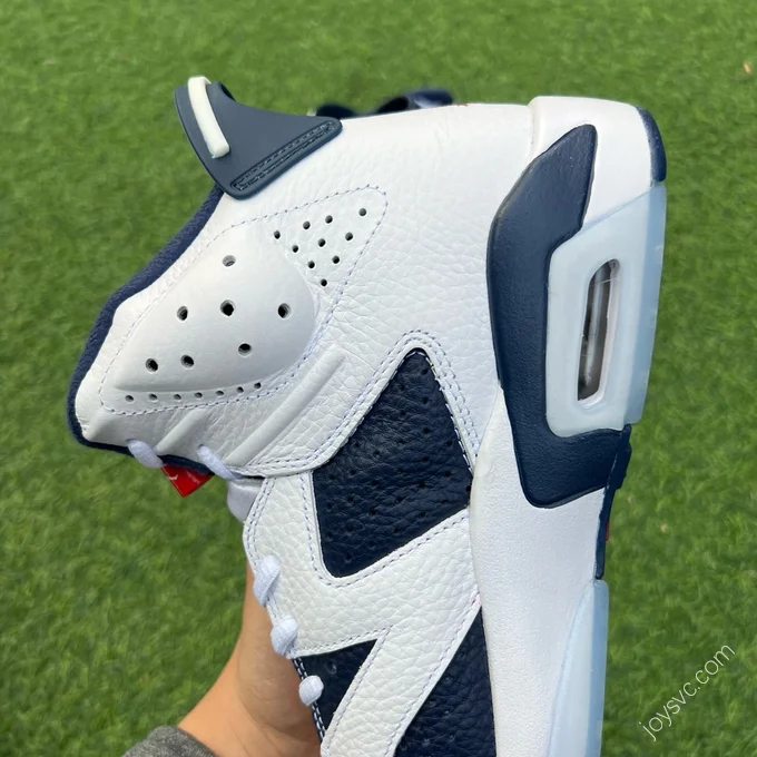 Air Jordan 6 