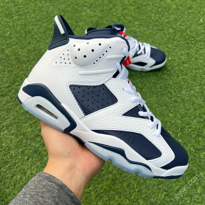 Air Jordan 6 