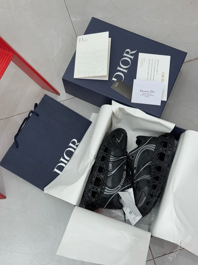 Dior B35 Dad Shoes Black