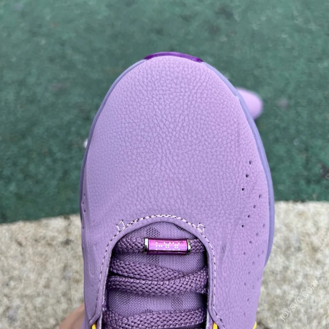 Nike LeBron 21 Purple FV2345-500