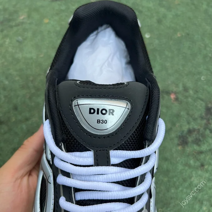 Dior B30 Silver Black