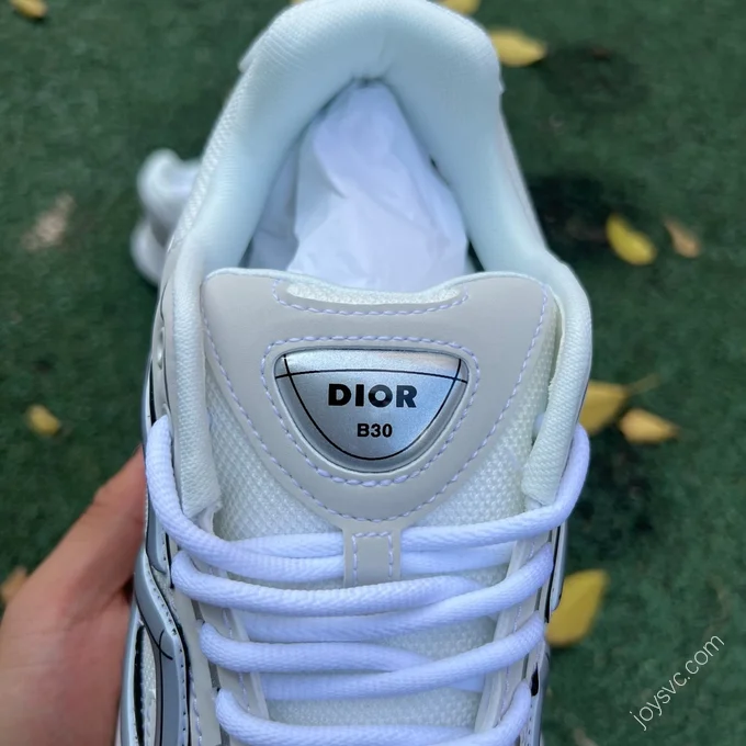 Dior B30 Grey White