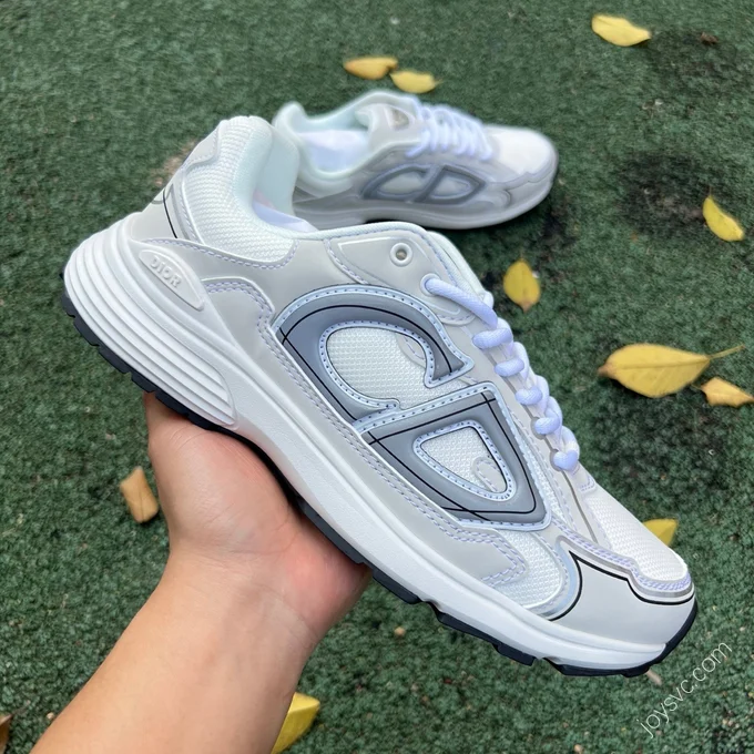 Dior B30 Grey White