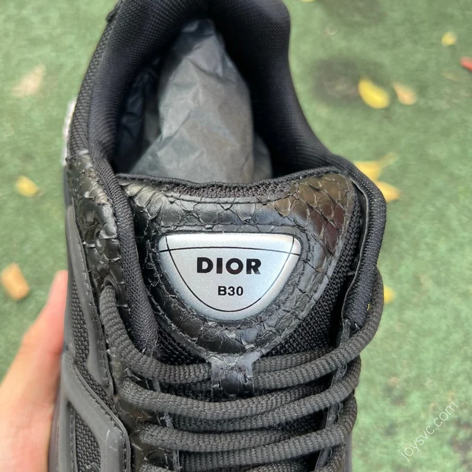 Dior B30 Black