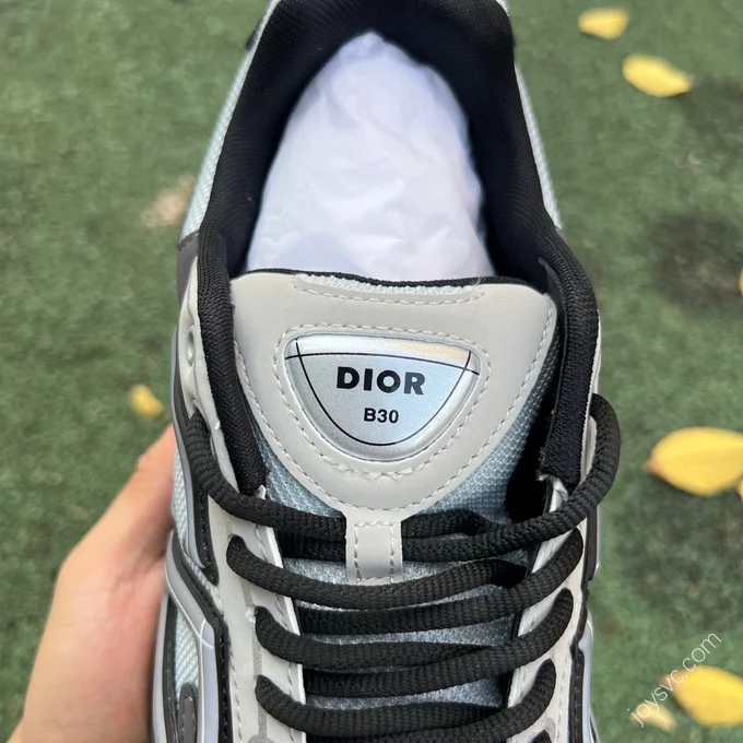 Dior B30 Grey Black