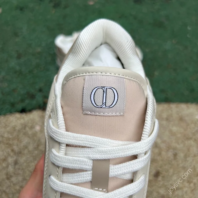 DIOR B27 Low Top Beige Brown Shoes