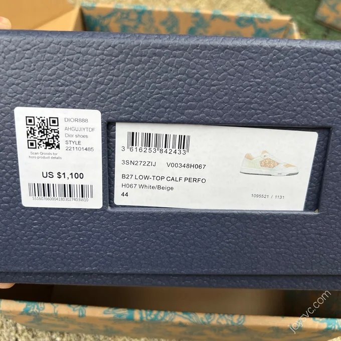 DIOR B27 Low Top Beige Brown Shoes